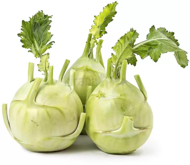 Knol Khol (நூல்கோல்)