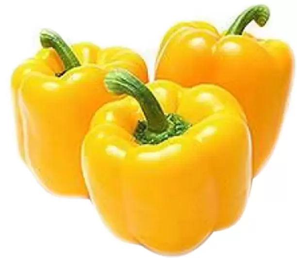 Capsicum Yellow (மஞ்சள் குடைமிளகாய் )