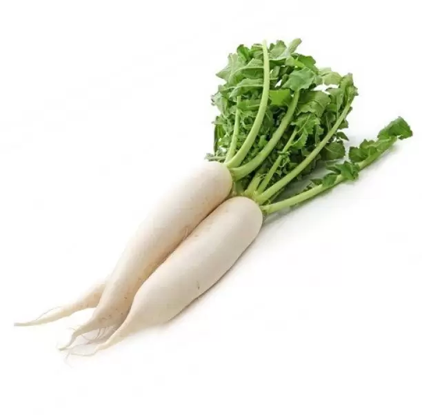Radish White (முள்ளங்கி)