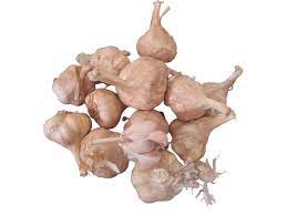 Garlic Hill (மலை பூண்டு)