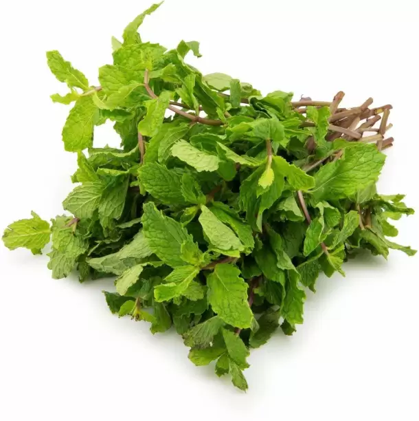 Mint Leaf Bunch (புதினா)