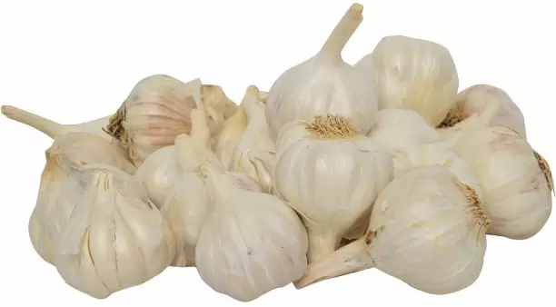 Garlic Country (நாட்டு பூண்டு)