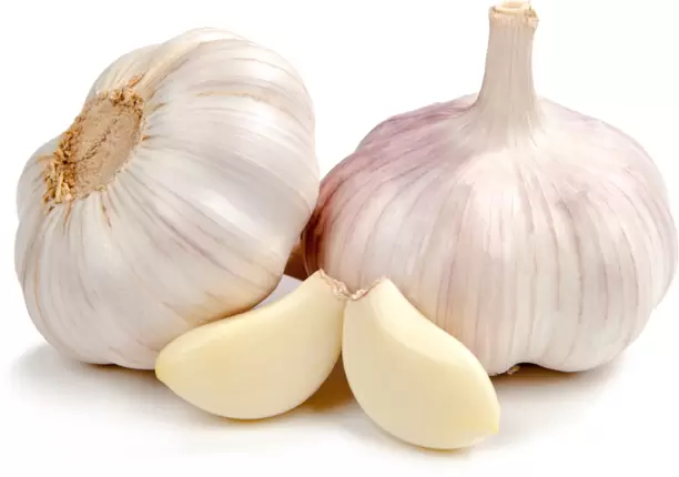 Garlic Himachal (இமாச்சல் பூண்டு )